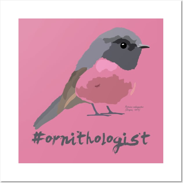 Ornithologist | Pink robin Wall Art by uncutcreations